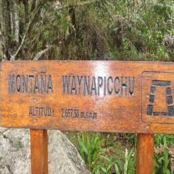 Waiyna Picchu - I made it! (Traveltinerary)