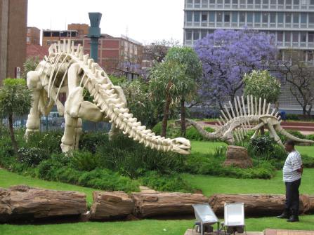 Pretoria, South Africa - Jacaranda & Dinosaurs (Traveltineraries)